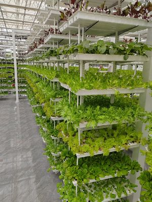 Вертикальное земледелие Висячие растения Гидропоническое интеллектуальное земледелие