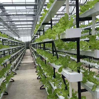 коммерческая NFT гидропоническая система выращивания теплицы NFT гидропонический канал