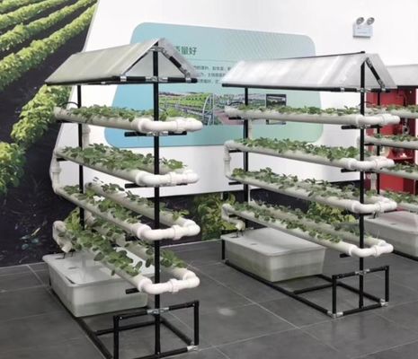 коммерческая NFT гидропоническая система выращивания теплицы NFT гидропонический канал