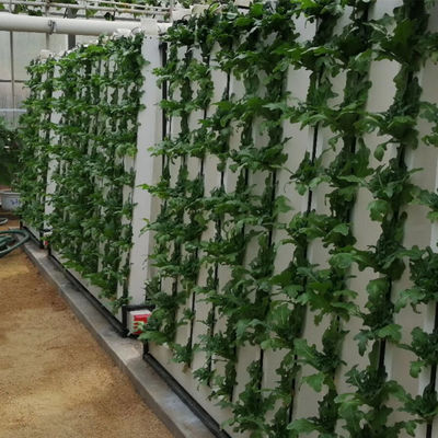 Гидропоническая система Zipgrow с светодиодным светом